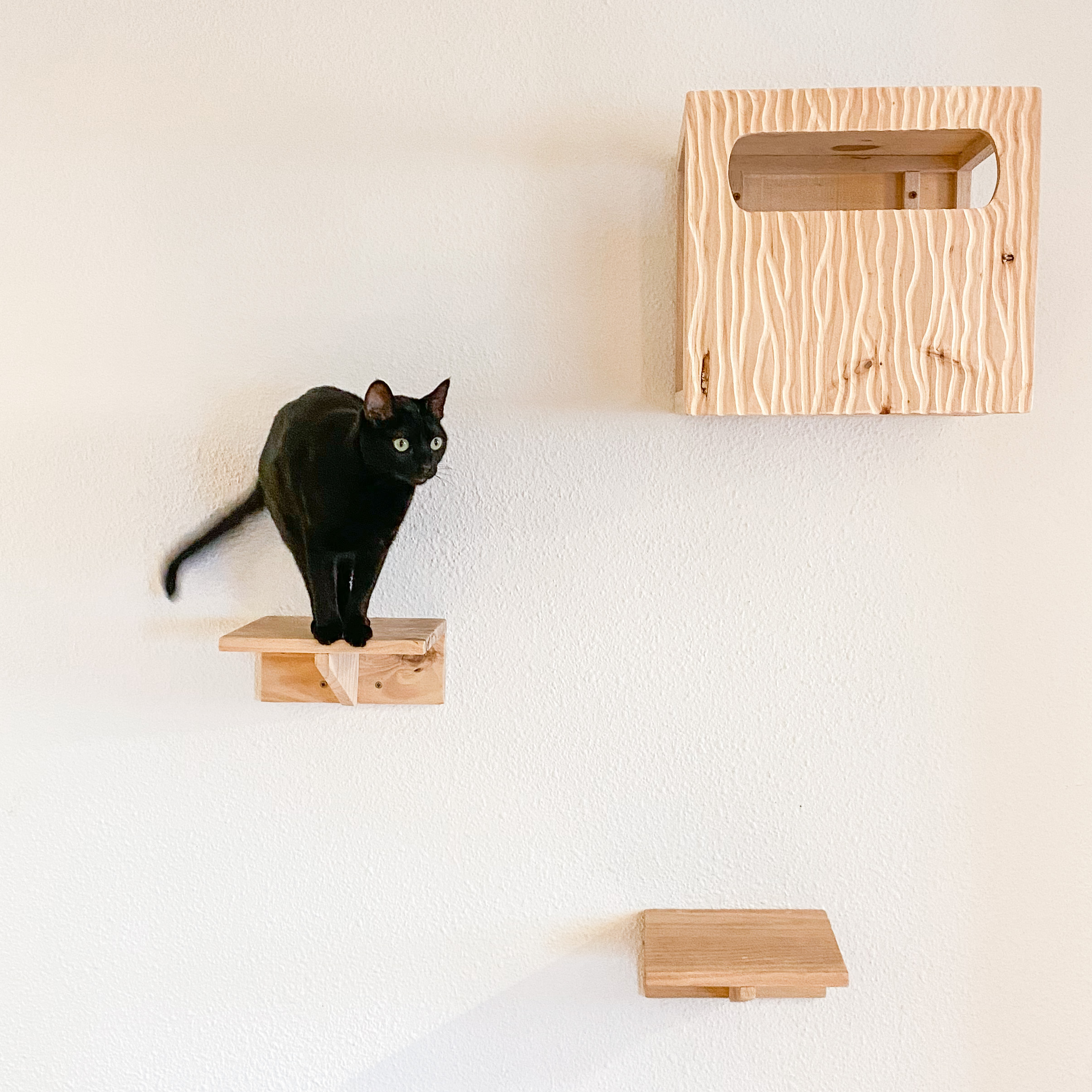 parque para gatos de madera